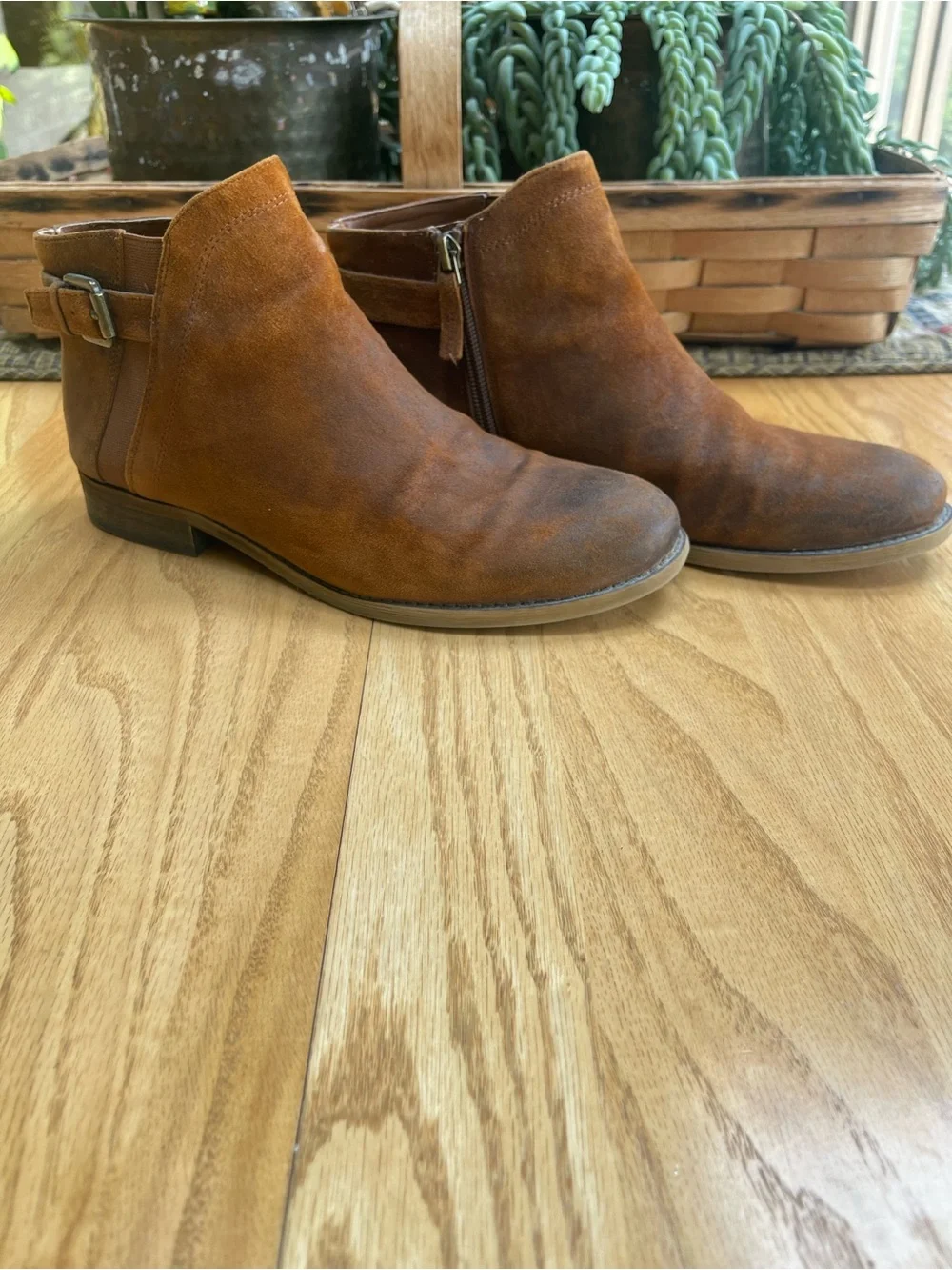 Franco Sarto Suede Ankle Booties in Cognac Brown